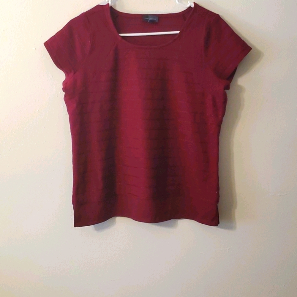 The Limited short sleeve blouse/tee.